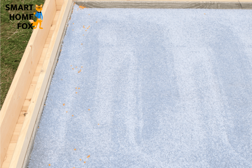 Durchgebürsteter Teppich nach dem iRobot Roomba i7 den Teppich gereinigt hat